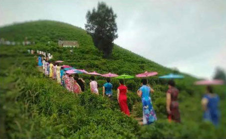 玉環(huán)火山茶基地舉辦首屆旗袍走秀活動＂當旗袍遇見火山茶的美麗邂逅＂。