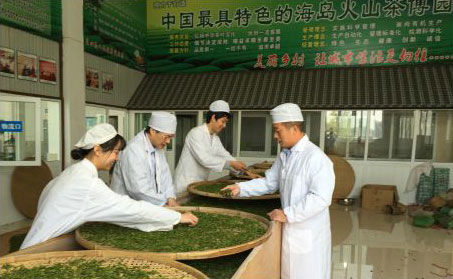 浙江大學(xué)湯一教授親自帶團(tuán)隊(duì)來火山茶基地支持火山紅茶研發(fā)。